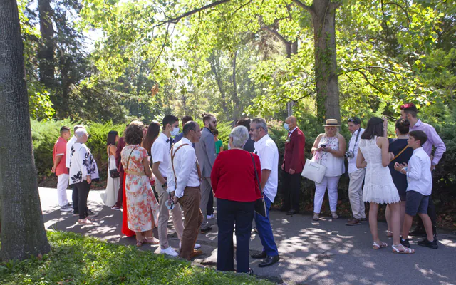Invités d’un mariage réunis à l’ombre des arbres dans un parc de Marseille, pendant le vin d’honneur
